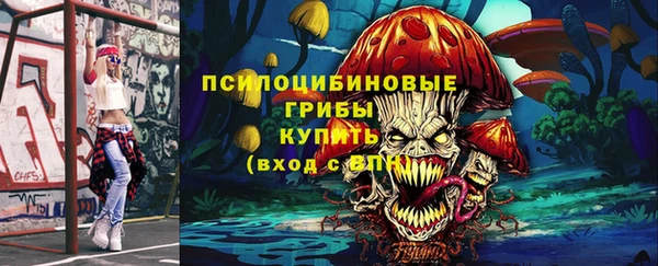 шишки Верхнеуральск