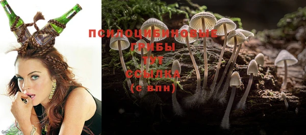 шишки Верхнеуральск
